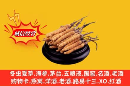 千山区名酒回收冬虫夏草.jpg